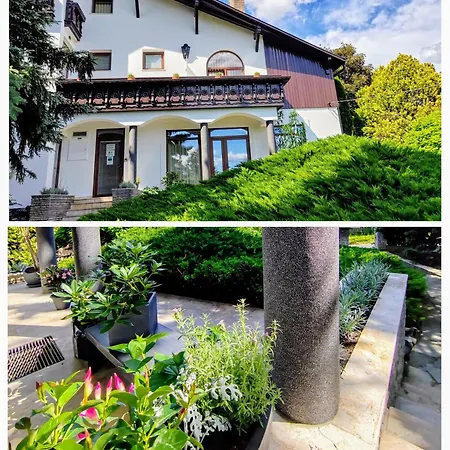 Apartment Heviz,Dr Strecker Villa Heviz